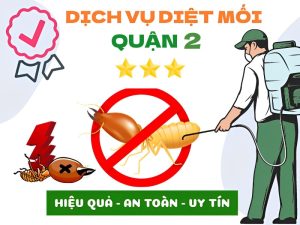 Dich Vu Diet Moi Quan 2