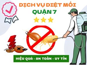 Dich Vu Diet Moi Quan 7