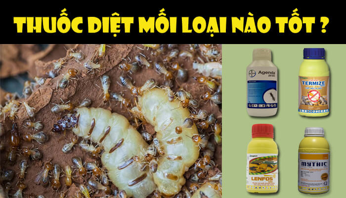 thuoc-diet-moi-loai-nao-tot