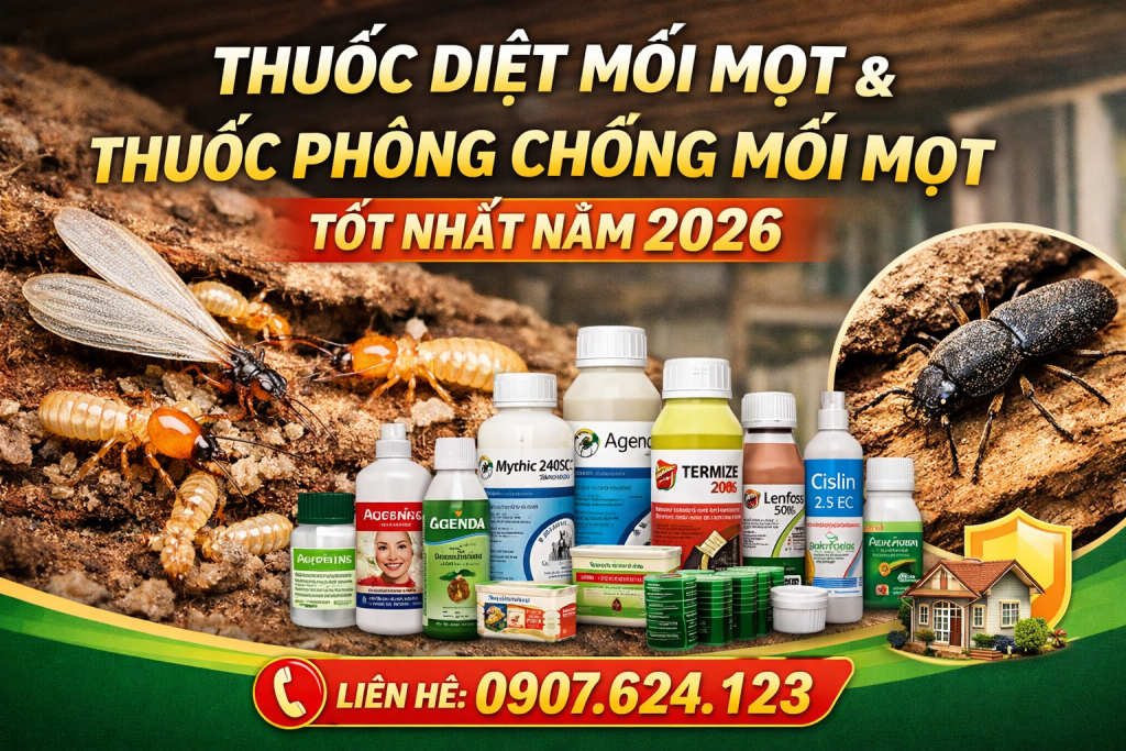 Chatgpt Image 04 43 24 5 Thg 2, 2026