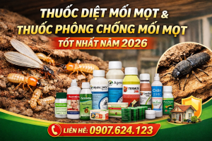 Chatgpt Image 04 43 24 5 Thg 2, 2026