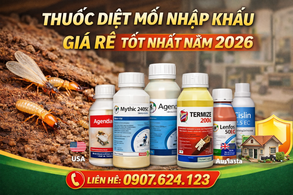 Chatgpt Image 04 48 54 5 Thg 2, 2026