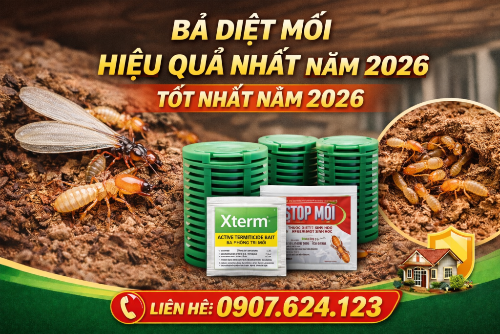 Chatgpt Image 04 55 56 5 Thg 2, 2026