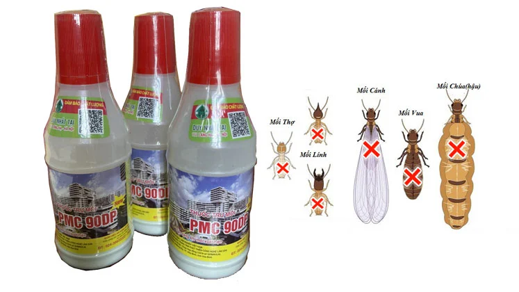 Đây là ảnh thuốc diệt mối tận gốc PMC 90 Thuốc diệt mối tận gốc PMC 90