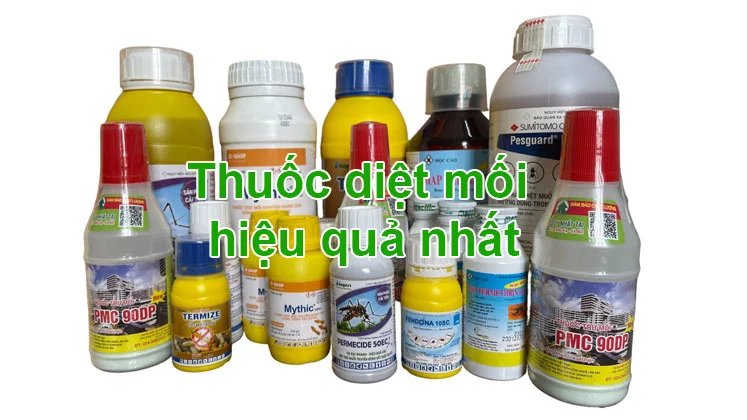 Tổng hợp những loại thuốc diệt mối hiệu quả nhất